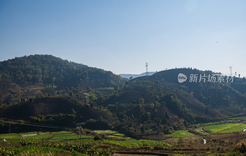 云南省保山市茶山