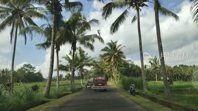 印尼巴厘岛道路街景