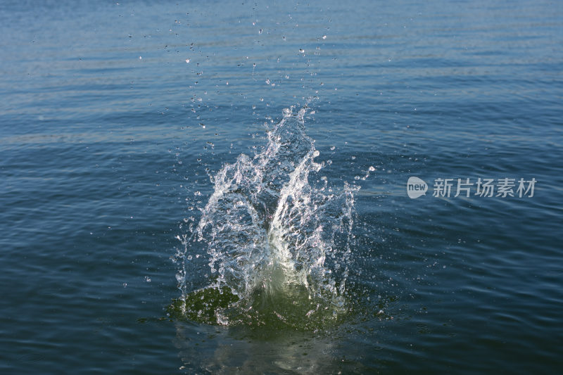 水面水花飞溅瞬间