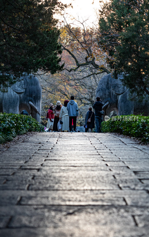 游客参观南京明孝陵石象路神道石像古迹场景