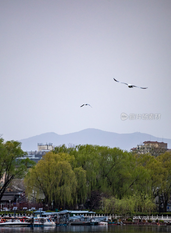 北京什刹海后海公园景点景观