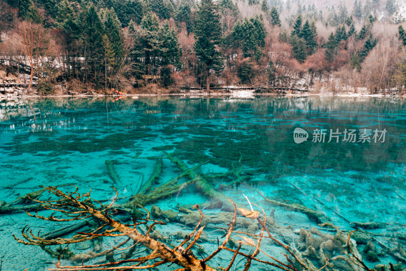 川西九寨沟冬季雪山碧蓝海子唯美