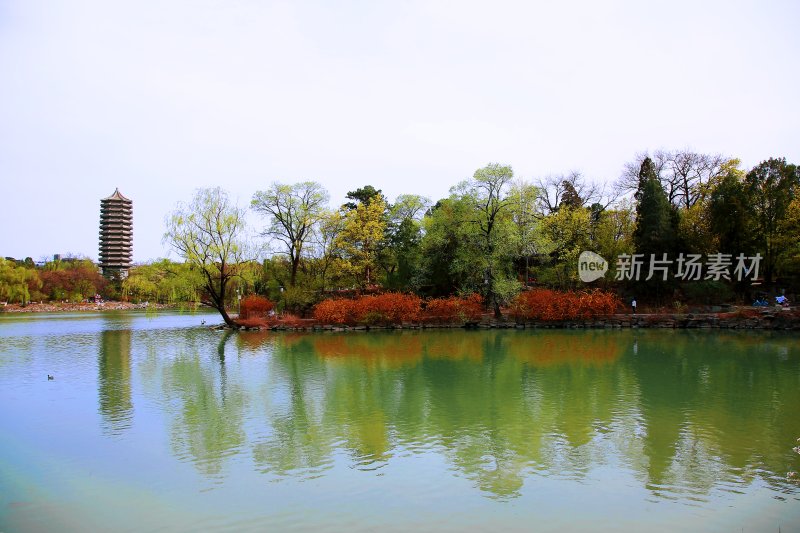 北京大学 未名湖 博雅塔