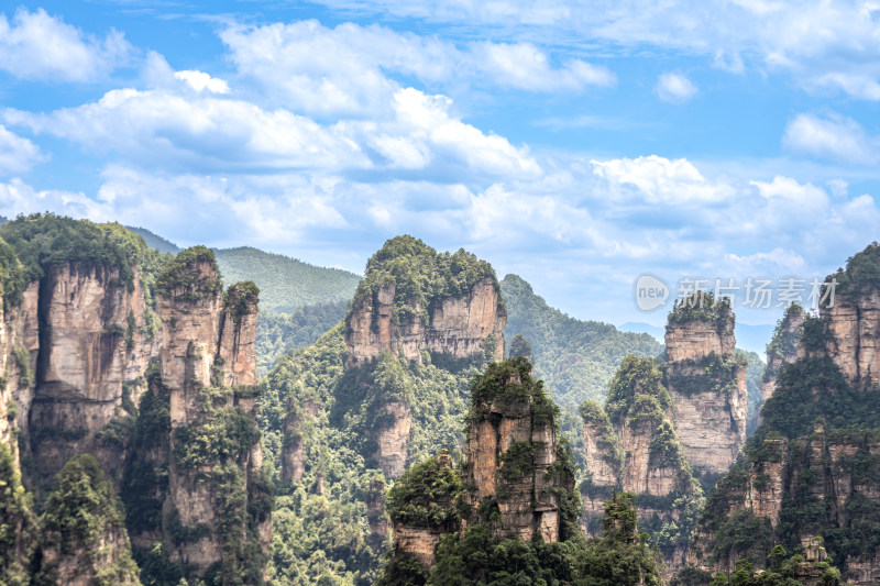 中国湖南张家界景区奇特山峰与茂密森林