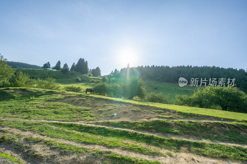 重庆市武隆区仙女山国家森林公园