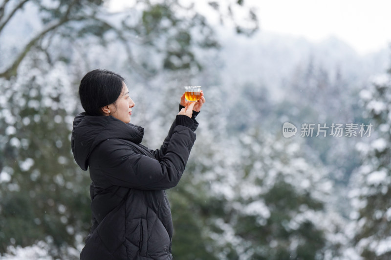 湖北利川毛坝兰田茶艺师雪中茶园赏茶