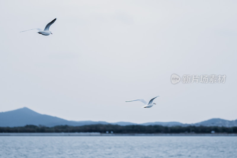 冬季，无锡鼋头渚太湖风光