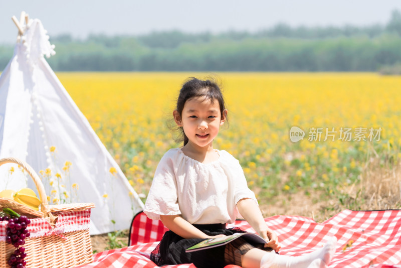 夏天坐在油菜花田边看书的女孩
