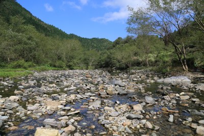 溪流 山间 河流