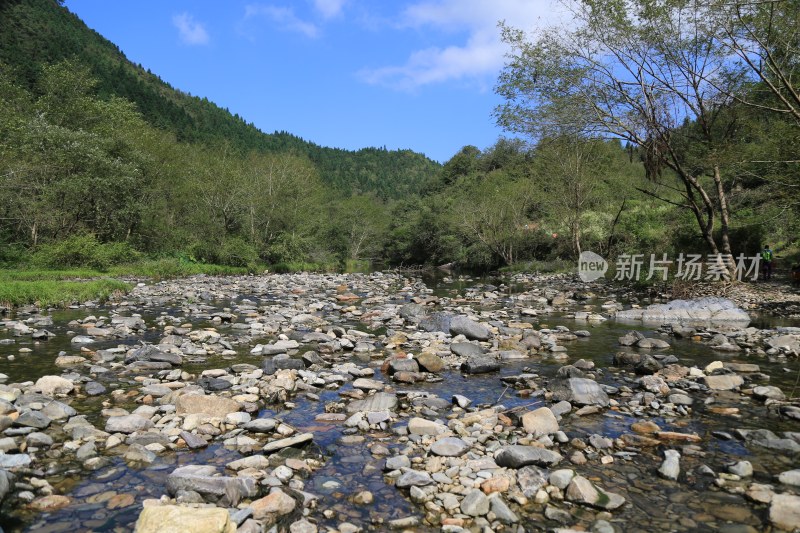 溪流 山间 河流