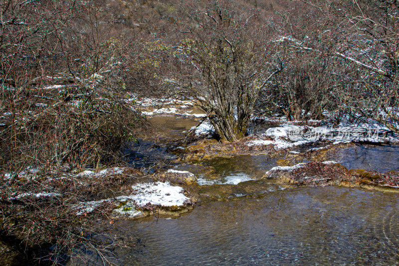 冬日雪景下的静谧溪流