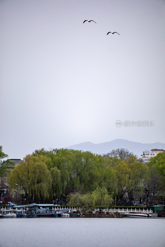 北京什刹海后海公园景点景观