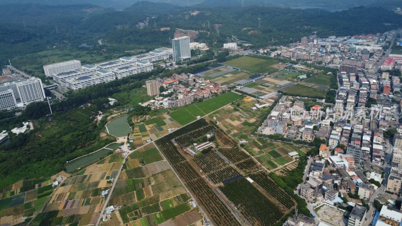 广东东莞：村庄附近的农田