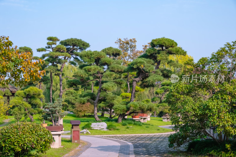 晴朗的午后，扬州瘦西湖江南园林风景