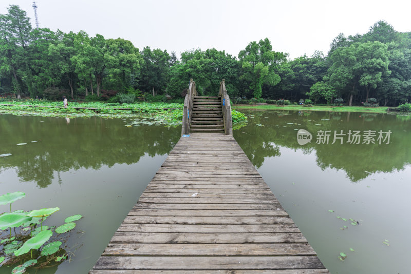 武汉中国科学院武汉植物园风光