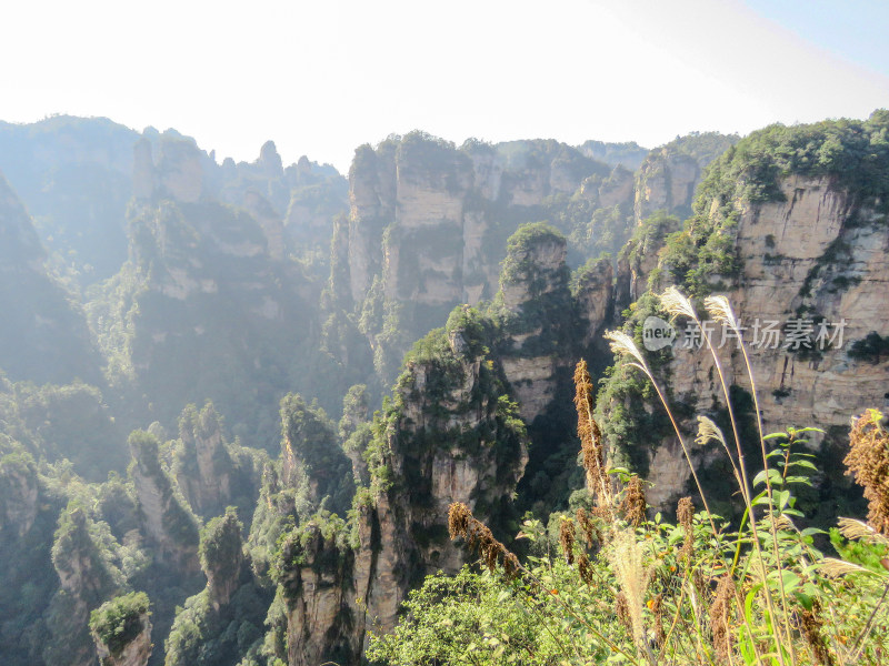 中国湖南张家界国家森林公园旅游风光