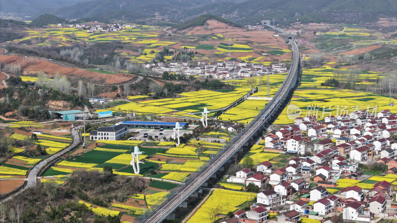 航拍汉中市洋县油菜花田乡村振兴