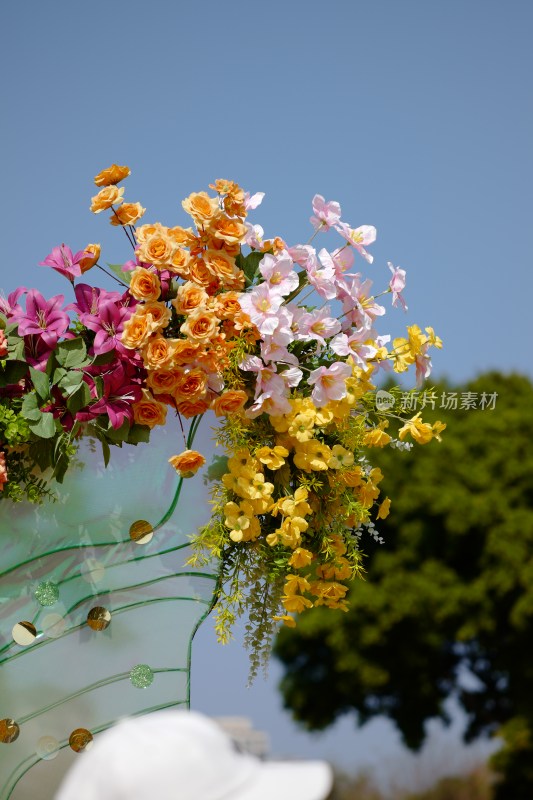 厦门园博苑大地花卉展虞美人花海