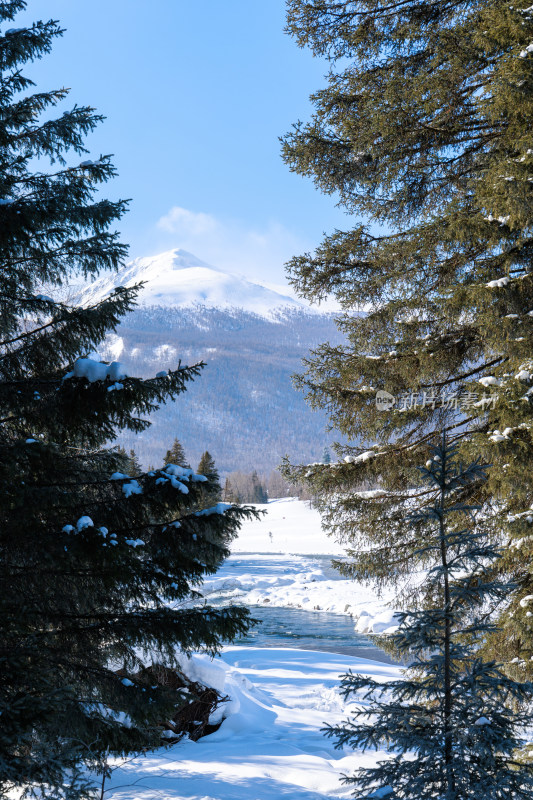 新疆喀纳斯雪景神仙湾冰河晨雾雪山森林雾凇