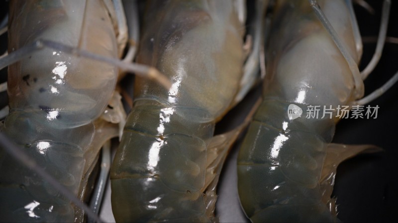 罗氏虾大头虾海鲜水产6