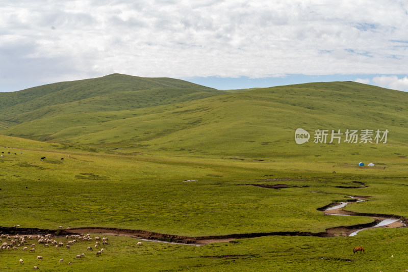 蓝天白云草原风景