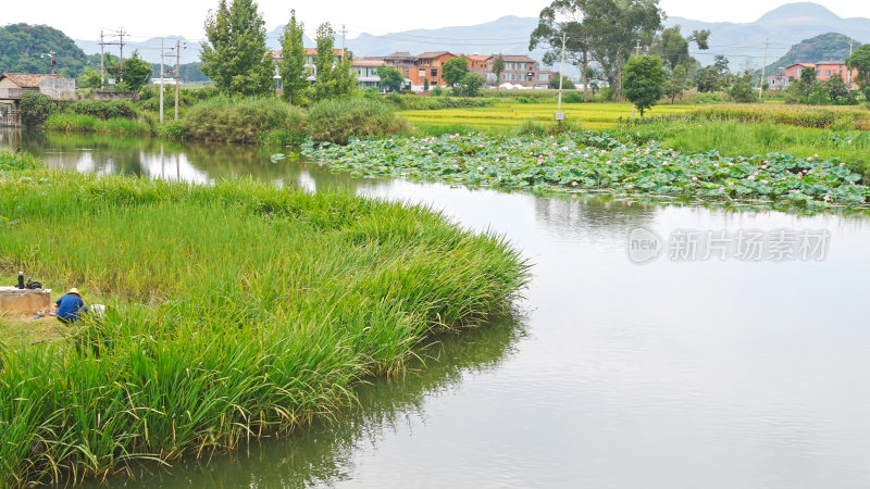 云南普者黑湿地公园