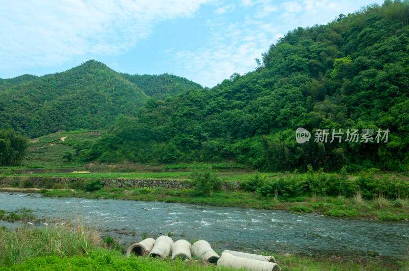 山中的自然风景