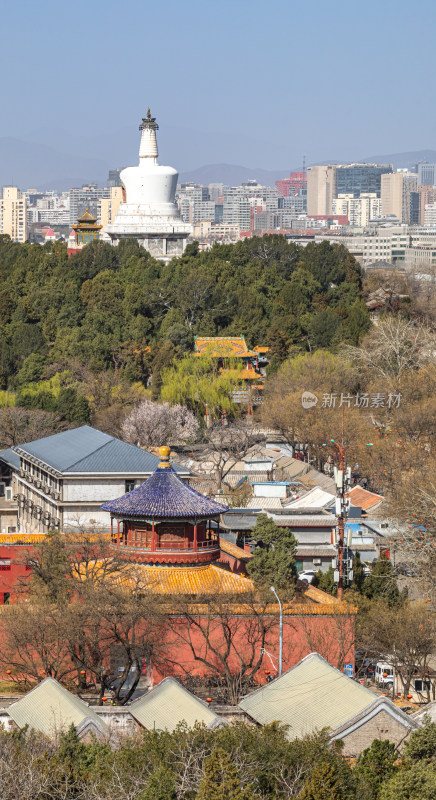 北京景山公园看北海公园后海公园城市景观