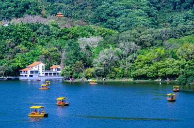 深圳仙湖植物园湖泊游船与碧绿树林