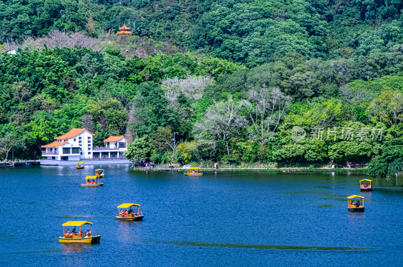 深圳仙湖植物园湖泊游船与碧绿树林