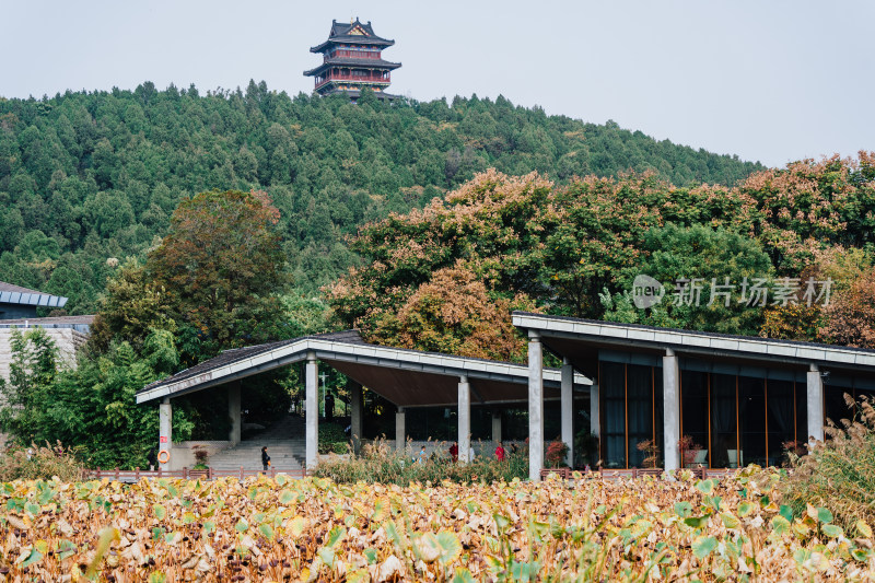 徐州汉文化景区