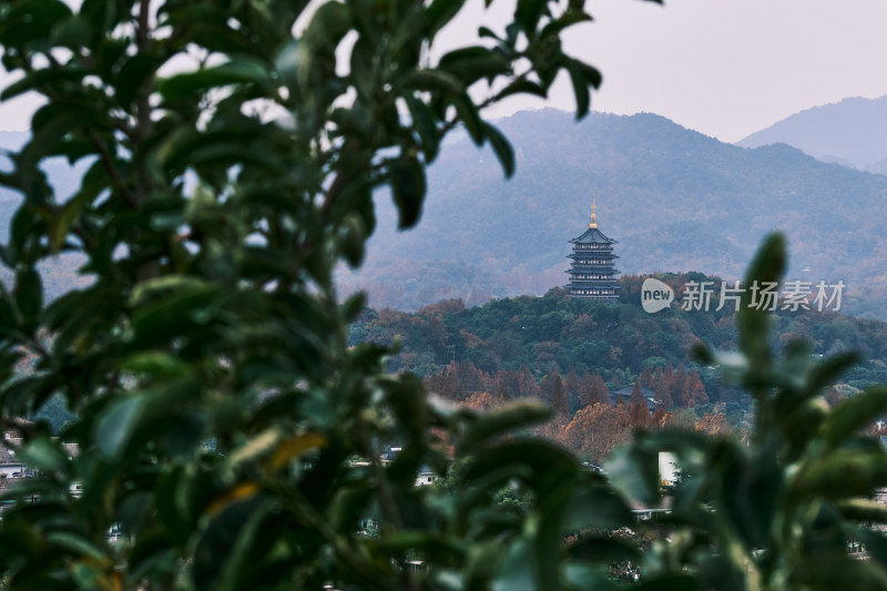 杭州雷峰塔全景风光