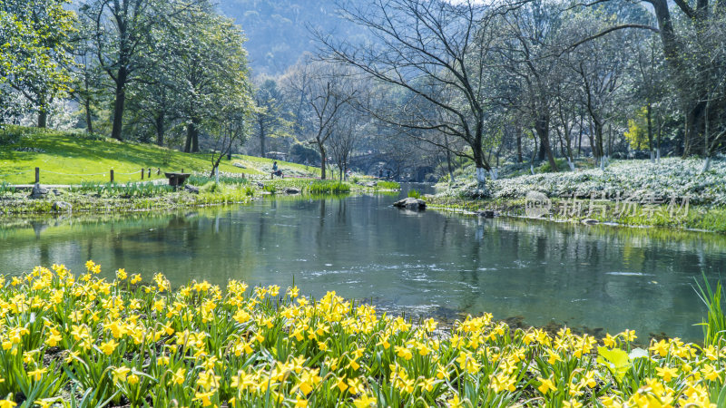 杭州西湖太子湾公园风景