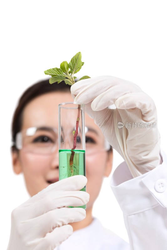 女科学家研究观察试管中的植物