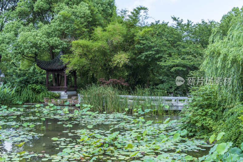 武汉东湖湖北书画院风景