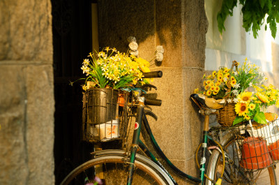 阳光下的一丛黄色花束，在自行车车篮里