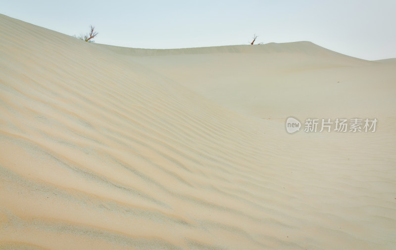 新疆塔克拉玛干沙漠沙海自然风光