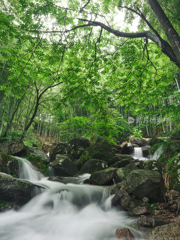 雨季安吉山间竹林水流瀑布