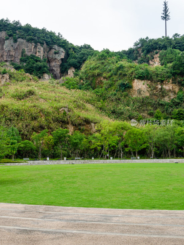 山林旁开阔草地的自然景观