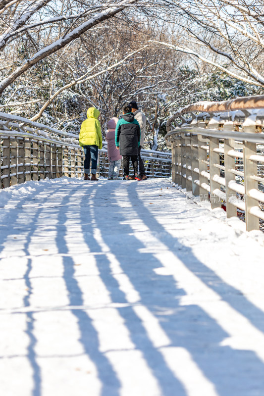 济南泉城公园自然景观雪景