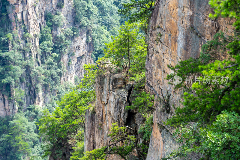 中国湖南张家界景区奇特山峰与茂密森林