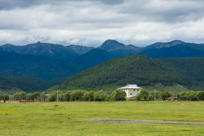 高原草原