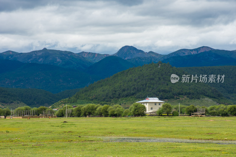 高原草原