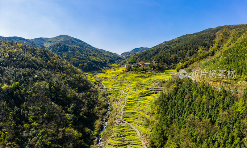 农村梯田