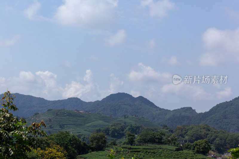 杭州南高峰俯瞰青山茶园自然风光