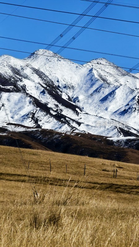 雪山下的草原风光