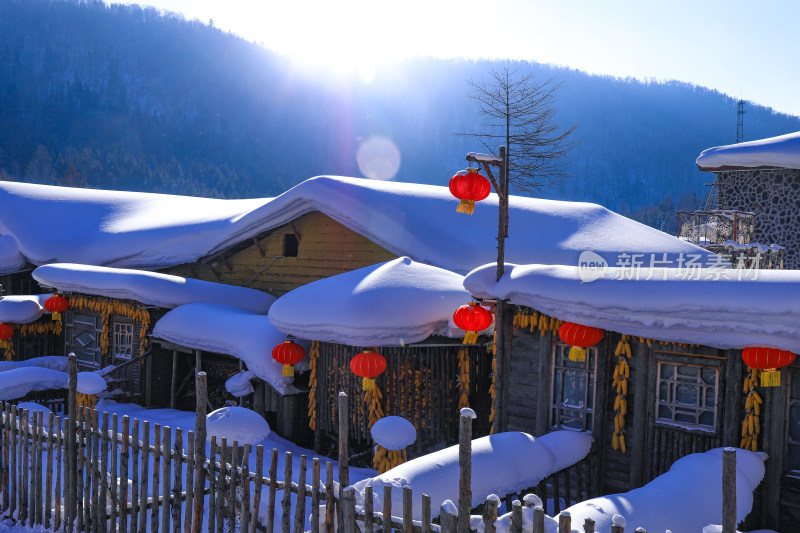 新年大雪积雪挂灯笼