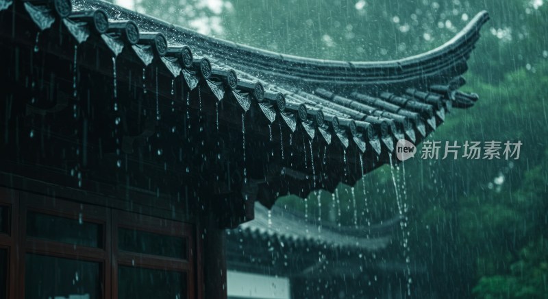 雨中传统古建筑屋顶景象