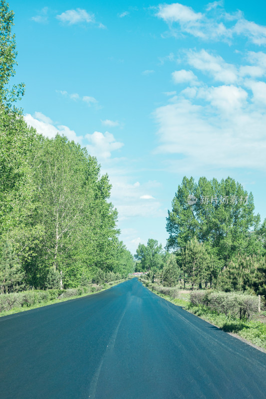 开车行驶道路两旁景色