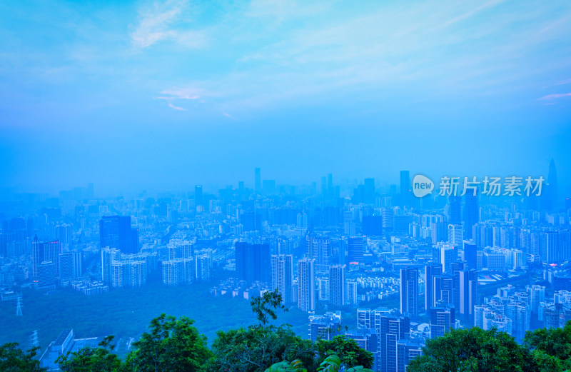 深圳南山公园看前海城市高楼建筑景观